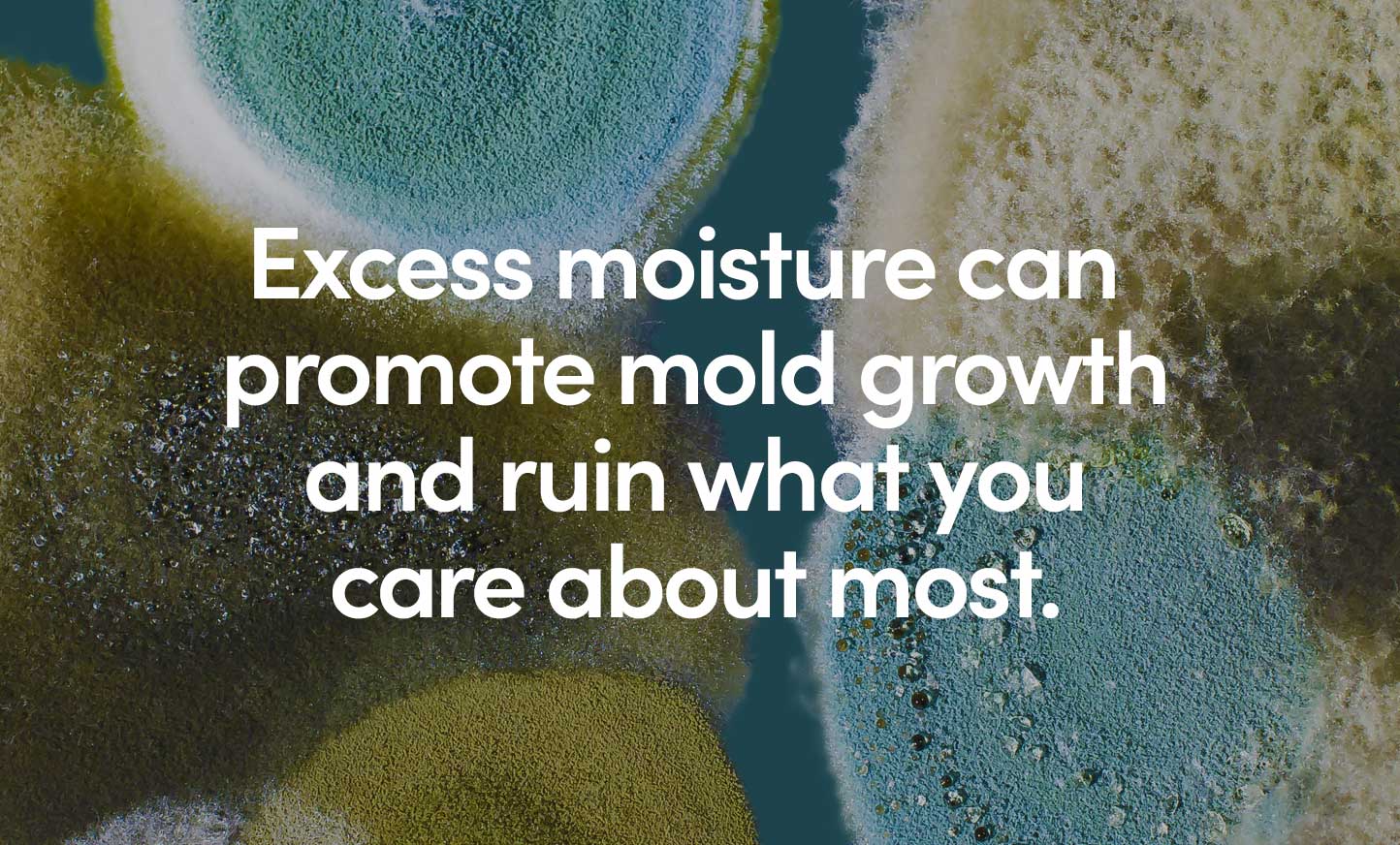 Excess moisture can promote mold growth and ruin what you care about most.