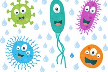 humidity control stops bacteria and viruses