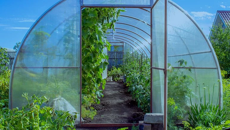 Hydroponics_&_Greenhouse_Dehumidifier_mobile image